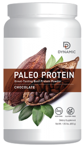 Dynamic Paleo Protein - Chocolate